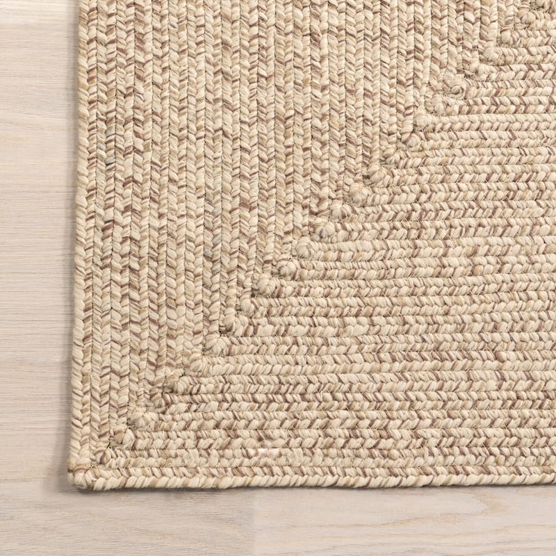 Nuloom Wynn Braided Indoor/Outdoor Area Rug
