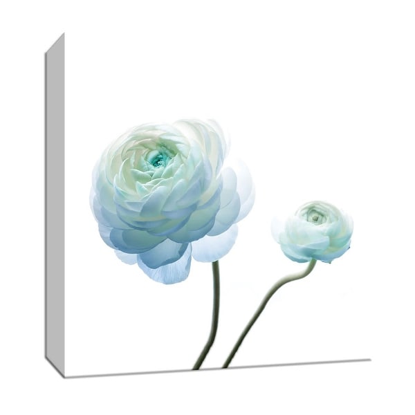 PTM Images 9-147541 PTM Canvas Collection 12" x 12" - "Gorgeous Blue I" Giclee Flowers Art Print on Canvas