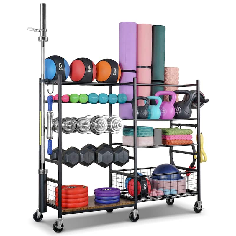 4-Tier Sports Equipment Organizer, Dumbbell and Ball Storage Rack