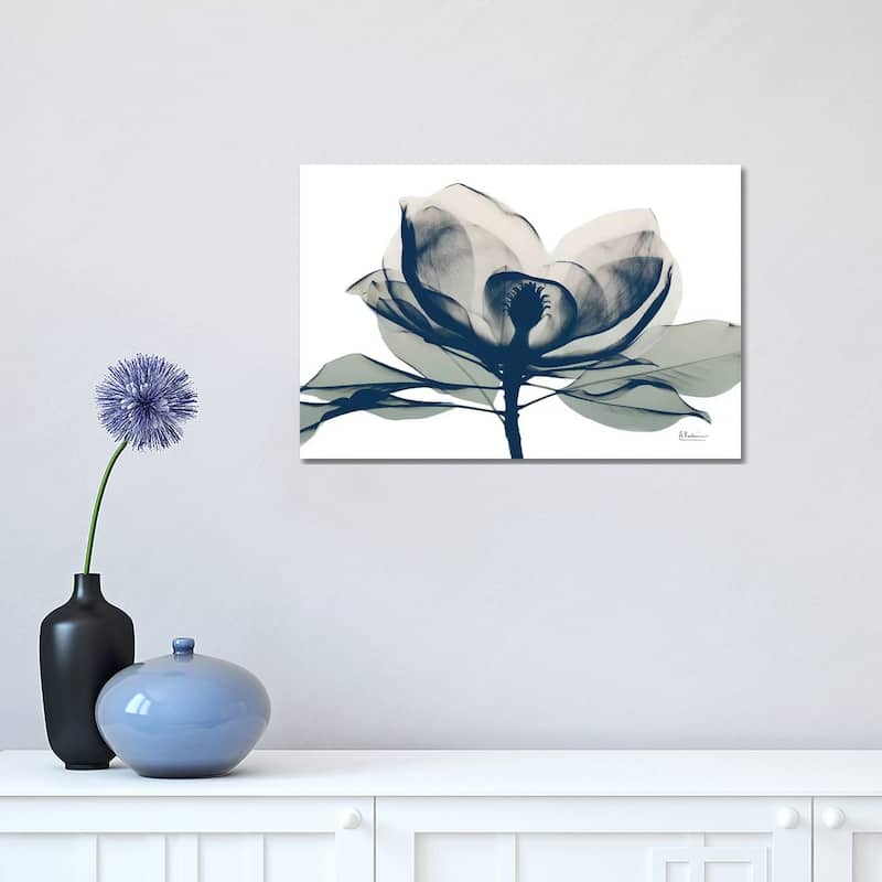 iCanvas "Blue Ranged Magnolia I" by Albert Koetsier Canvas Print - 12x18x1.5