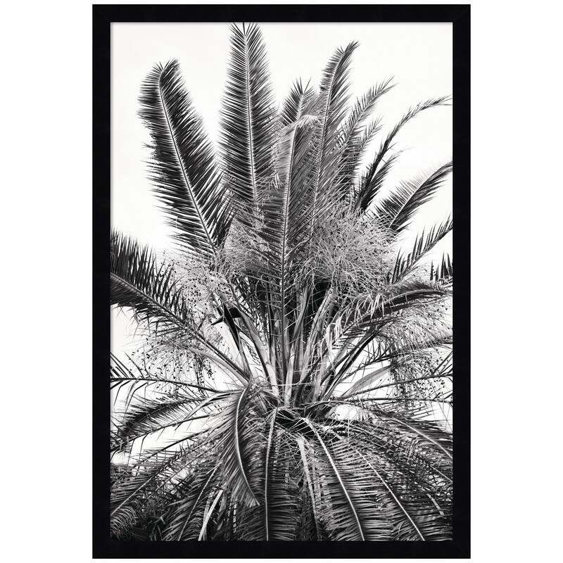 Kate and Laurel No 15 by Alicia Bock Framed Wall Art Print - 17 x 25 - Black