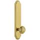 Option Lifetime Brass