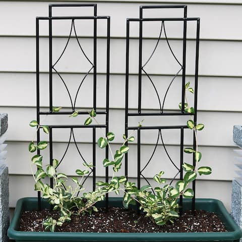 30" Durable Metal Wire Contemporary Garden Trellis for Plants-Set of 2