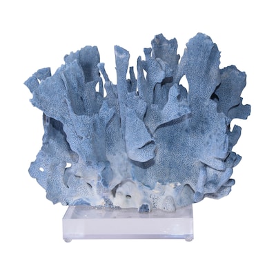Blue Coral 10-12 Inch On Acrylic Base