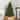 National Tree Company 6.5 ft. North Valley Spruce Tree - 6.5 Foot