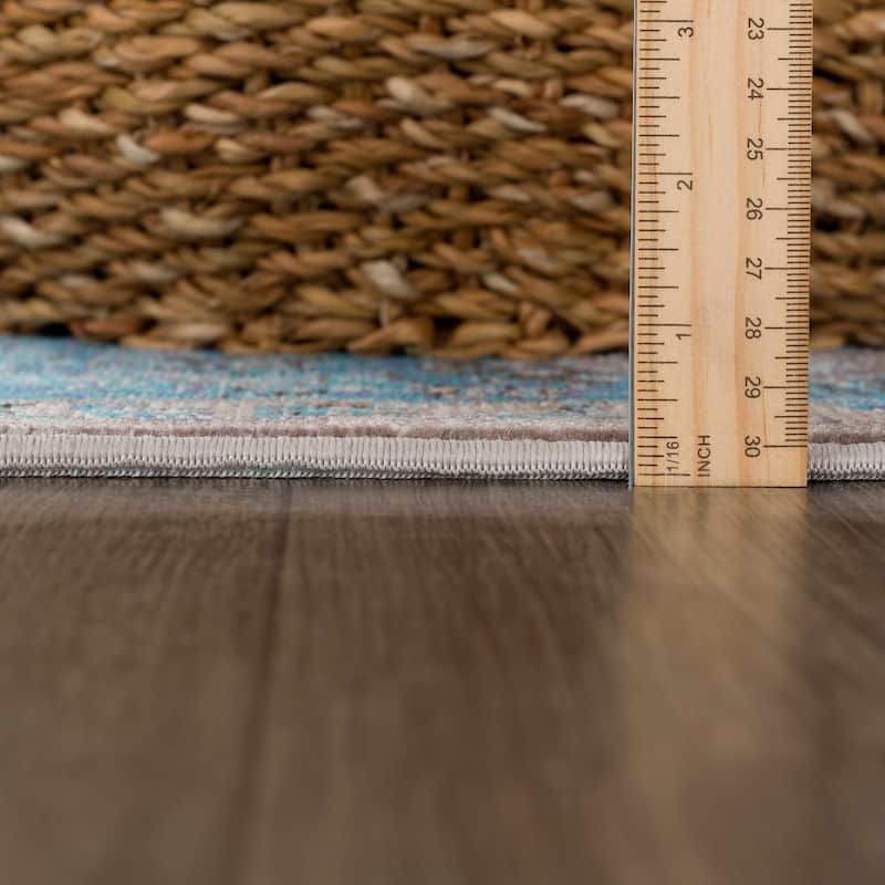 Hauteloom Mardin Oriental Persian Traditional Area Rug