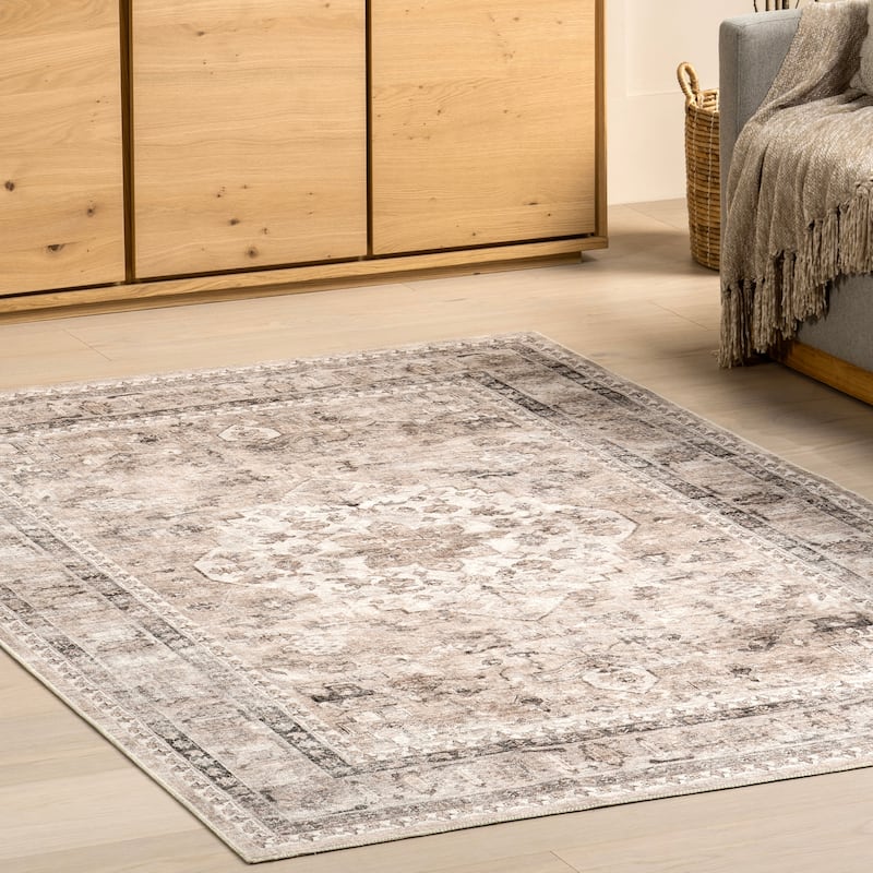 Nuloom Delisa Vintage Stain-Resistant Machine Washable Area Rug