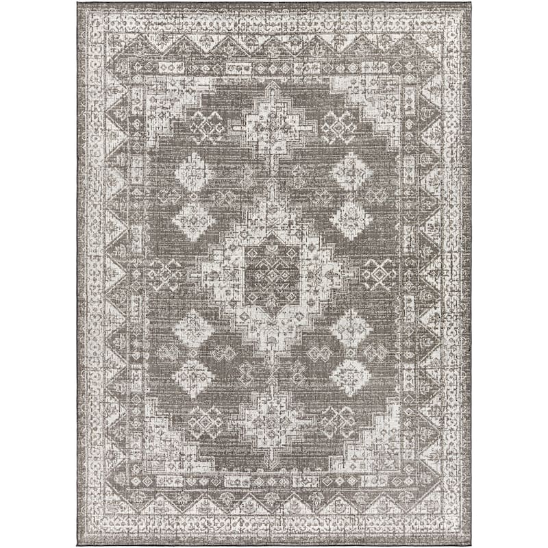 Susannah Indoor / Outdoor Updated Traditional Area Rug