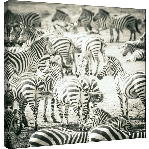PTM Images 9-101274 PTM Canvas Collection 12" x 12" - "Zebras" Giclee Zebras Art Print on Canvas