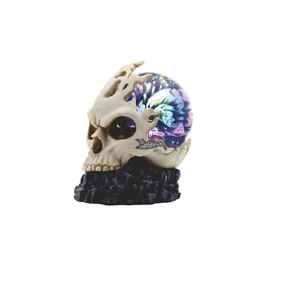 Q-Max 6.75"H Skull with LED Light Glass Globe Statue Fantasy Decoration Figurine