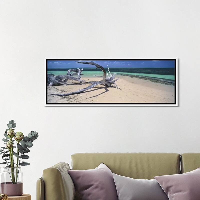 iCanvas "Driftwood on the beach, Green Island,Great Barrier Reef, Queensland, Australia" by Panoramic Images Framed Canvas Print