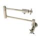 Option Polished Nickel