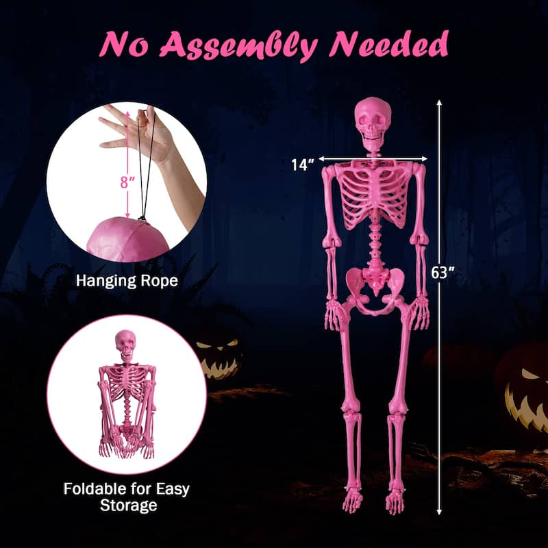 5.5 FT Halloween Skeleton Life-Size Poseable Skeleton w/ Movable Joints