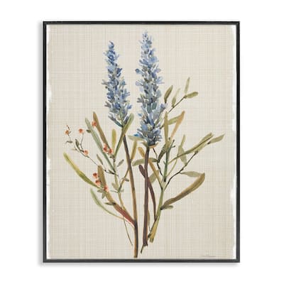 Stupell Natural Lavender Sprigs Framed Giclee Art Design By Carol Robinson