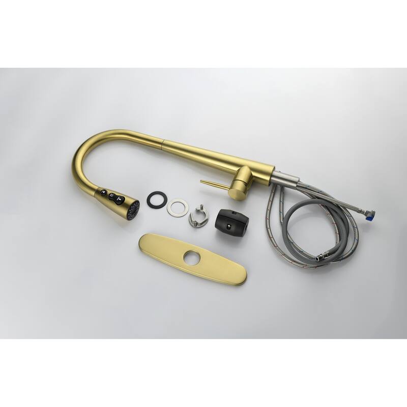 Single Handle Kitchen Sink Faucet with Pull Down Sprayer