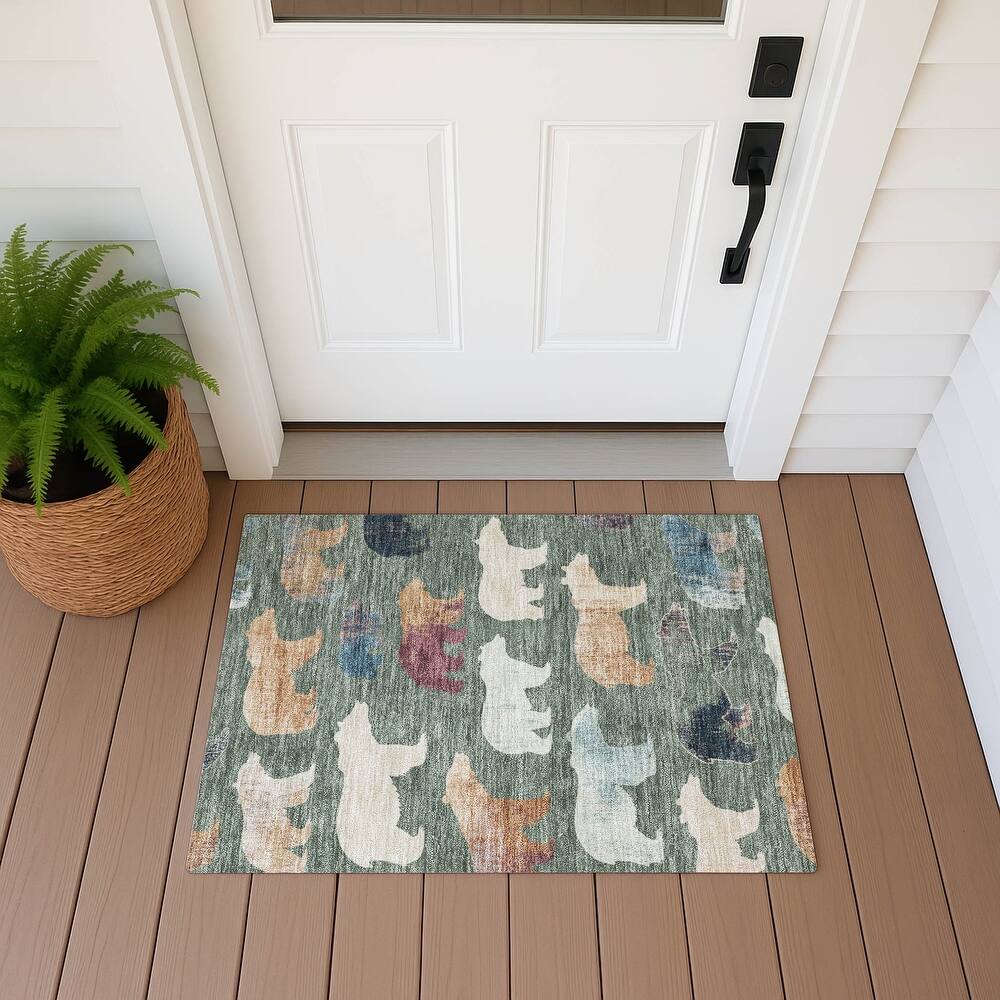 Machine Washable Indoor/ Outdoor Modern Bear Chantille Rug