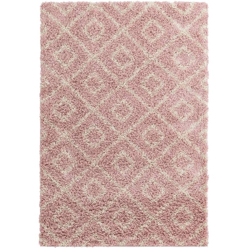 Shag Olido Collection Area Rug
