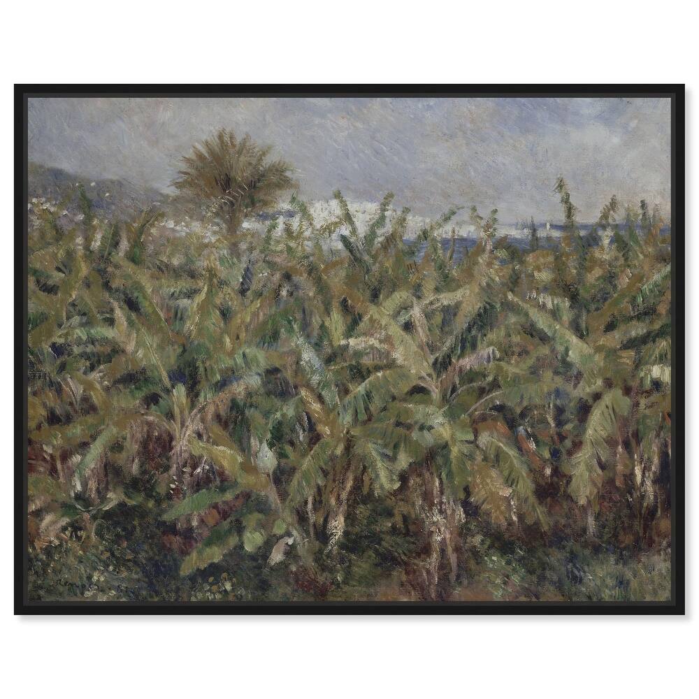 Field of Banana Trees Canvas by Art Remedy