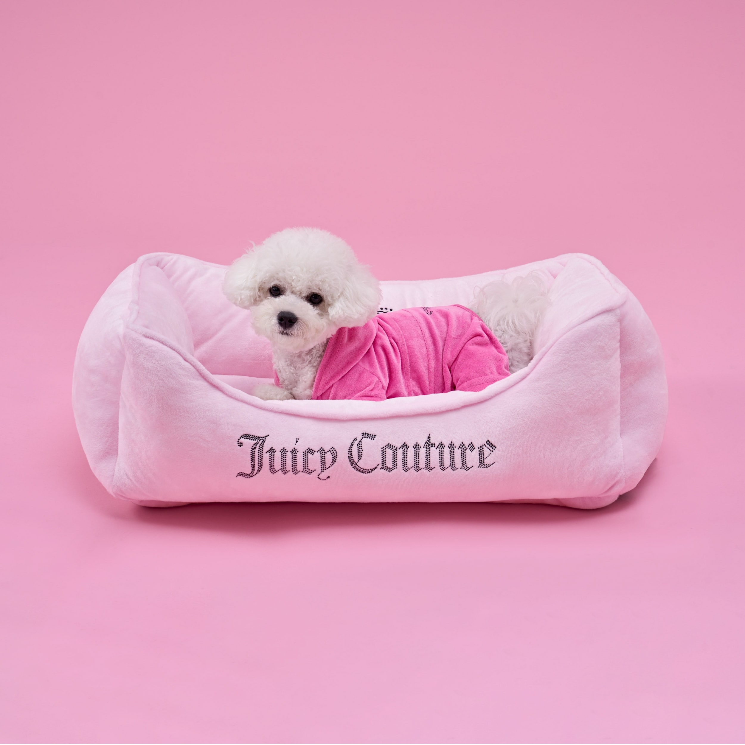 Juicy Couture Bling and Crown Pet Bed