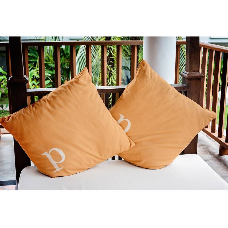 Modern Monogram Indoor/Outdoor Throw Pillow-P