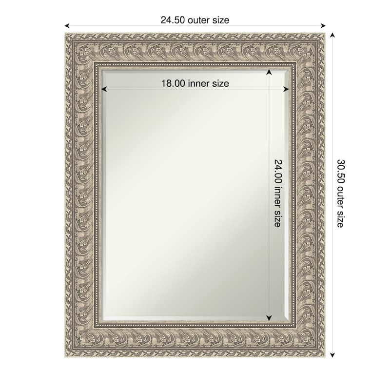 Sydney Half-Inch-Bevel Framed Wall Mirror - Sydney Silver - 25 x 31 in