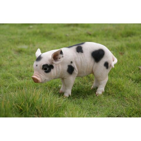 Standing Baby Pig With Black Spots