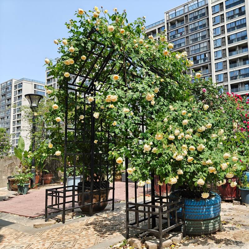 Anmytek Metal Garden Arch with Adjustable Width W68.11'' W94.29'' Climbing Plants Support Rose Arch Outdoor Black