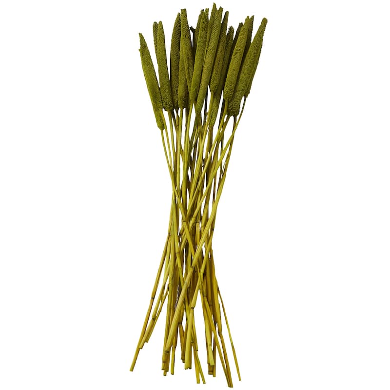 Dried Plant Bunny Tail Home Decor Natural Foliage - White, Red, Dark Brown, Orange, Green, Pink, Yellow - Roche River Decor
