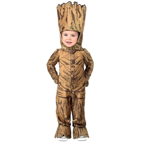 18 month boy costume