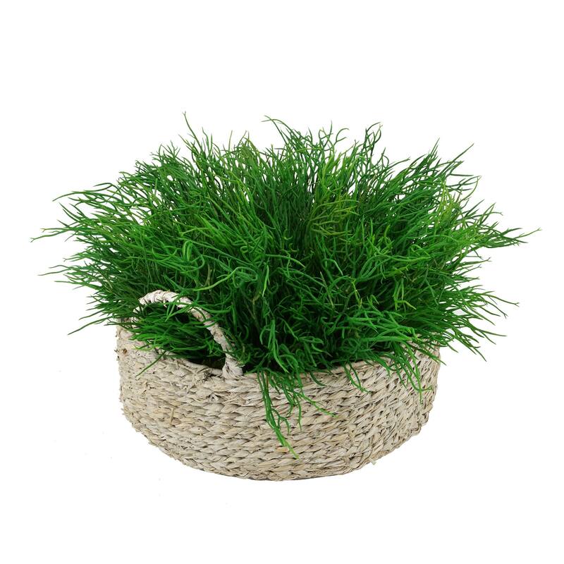 Faux Saltwort in Small Seagrass Tray Basket - White-Washed