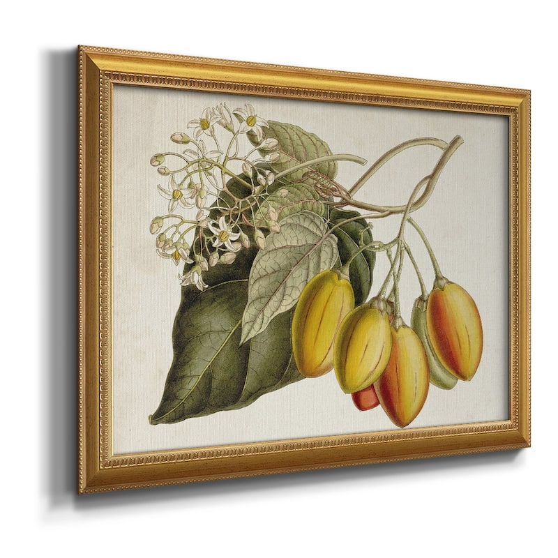 Tropical Foliage & Fruit IV Premium Framed Canvas- Ready to Hang