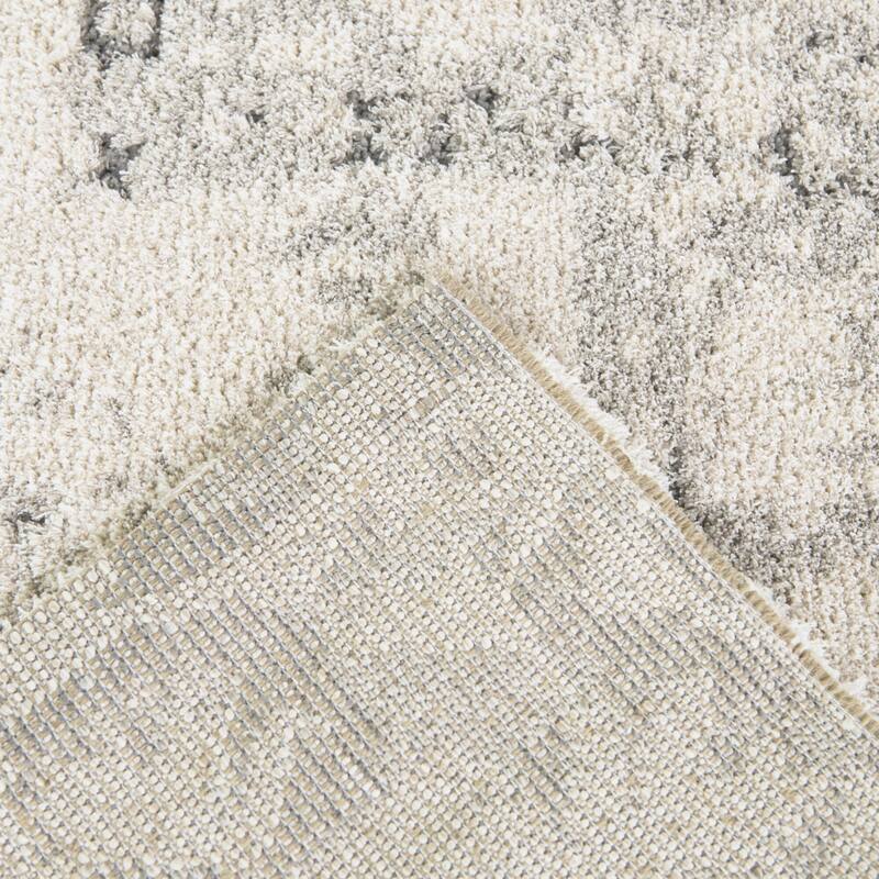 Hilaeira Distressed Traditional Area Rug