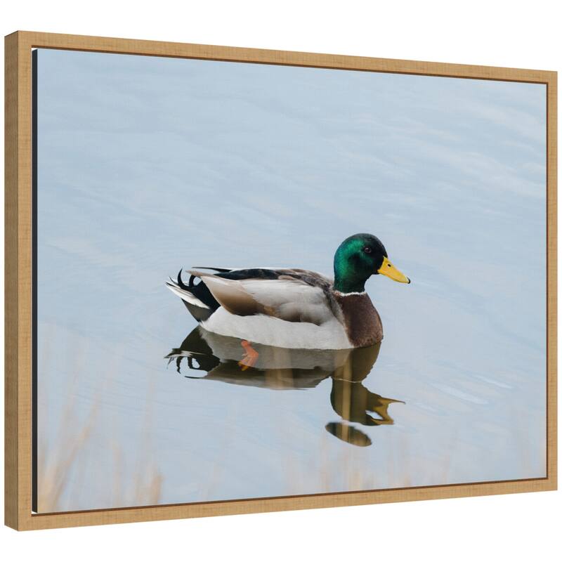 Kate and Laurel Sylvie Mallard Duck Framed Canvas by Crystal Lynn Collins - 24x18