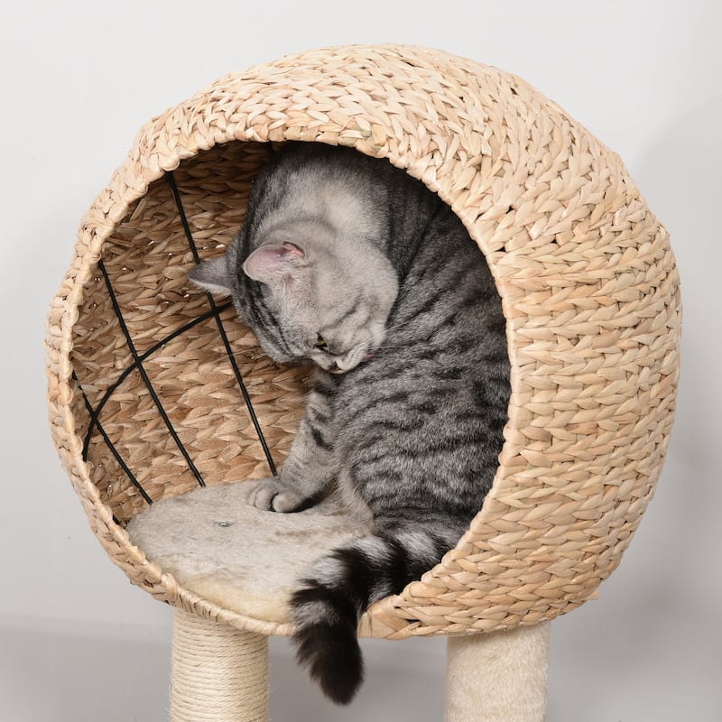 Multi-Level Cat Tree with Condo, Sisal Scratching Posts & Platforms - 19" L × 15.75" W × 39.25" H