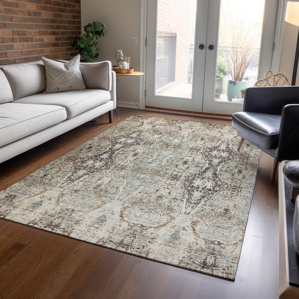 Machine Washable Indoor/ Outdoor Vintage Traditional Chantille Rug