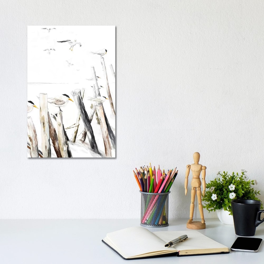 iCanvas "Gull Point" by Patricia Pinto Canvas Print