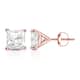 Option Rose
