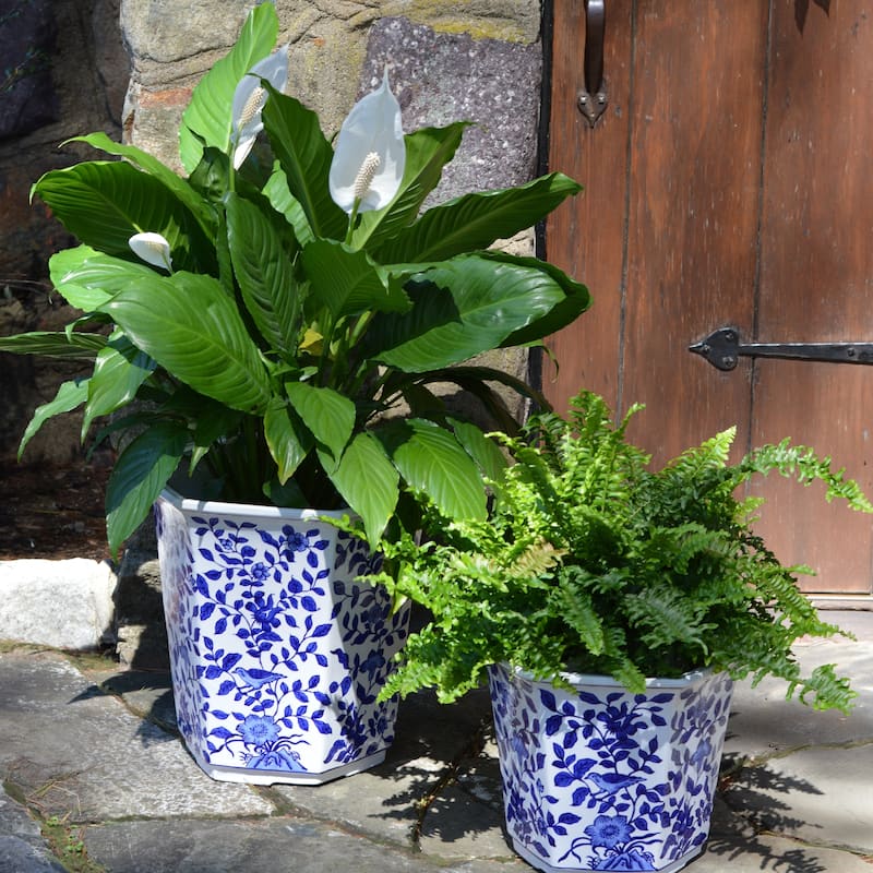 Euro Ceramica Blue and White Aviary Garden Planter
