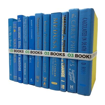Light Blue Decorative Books - N/A