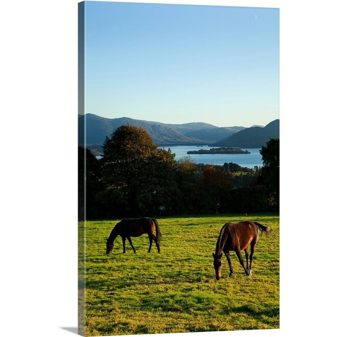 Shop Horses On The Hill Of Aghadoe Overlooking Lough Leane