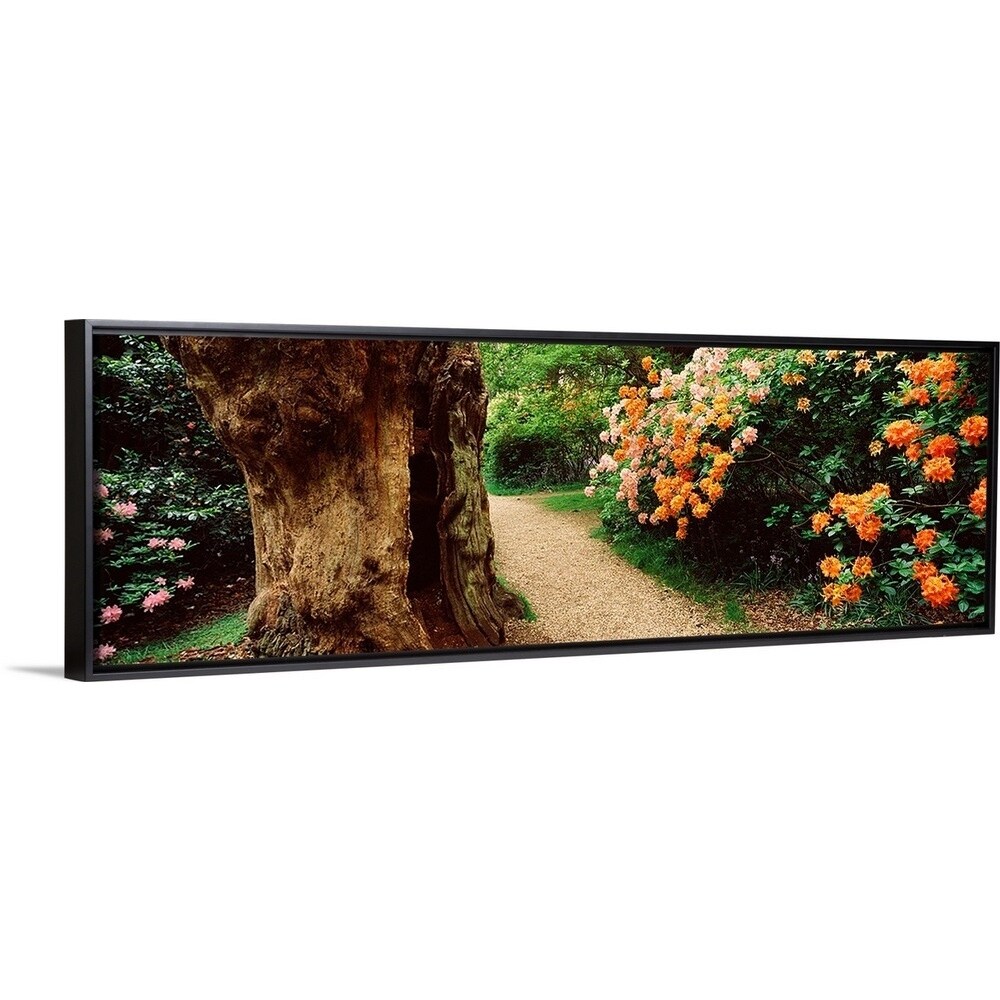 Shop Isabella Plantation In A Park Richmond Park London