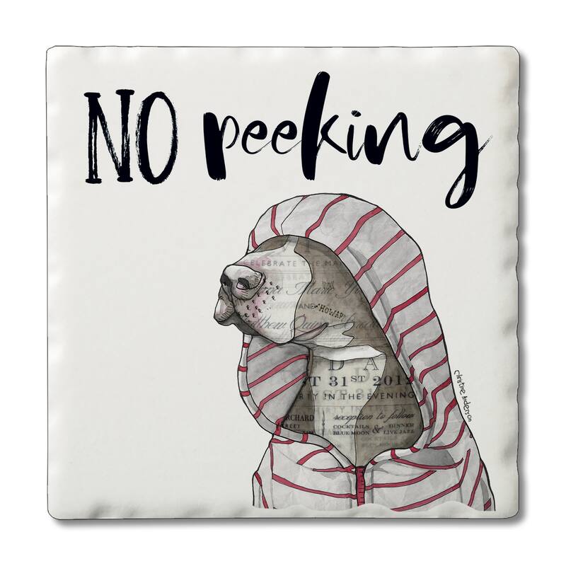 Counterart Absorbent Stone Coasters - No Peeking - Set of 4 - 4x4x1.539