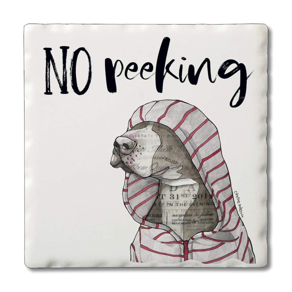 Counterart Absorbent Stone Coasters - No Peeking - Set of 4 - 4x4x1.539