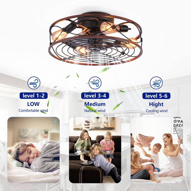 20'' Farmhouse Caged Ceiling Fan with Lights and Remote Control , Black Bladeless Reversible DC Motor Ceiling Fan