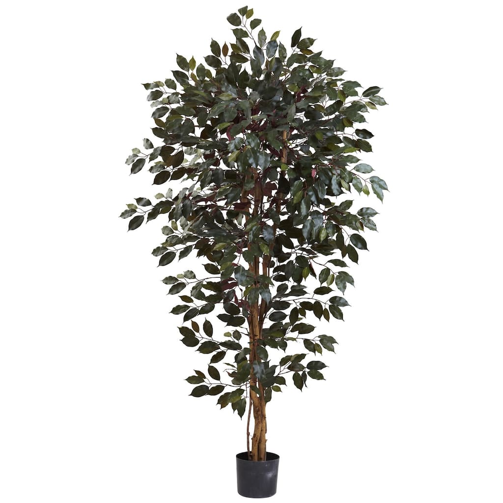 Artificial Tree 6Ft Antique Capensia - Indoor Outdoor Decor, Realistic Greenery, Home Office Accent - 6ft.