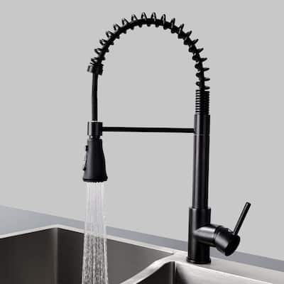 Pull Down Single Handle Spray Kitchen Faucet