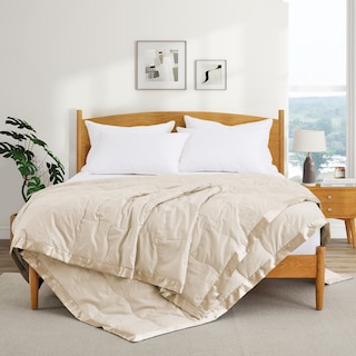 Ultra-Soft Cozy Cotton Down Bed Blanket with Satin Trim