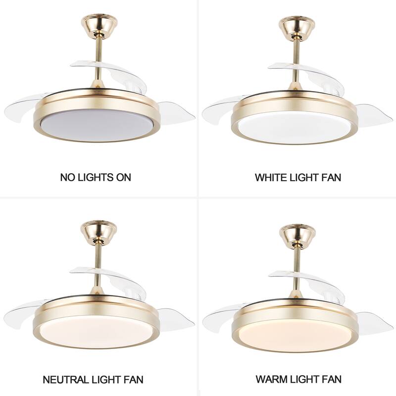 CurveCurio 42 in. Ceiling Fan with Concealable Fan Blades, 6 Fan Speed 3 Light Tone Remote Control Fan for Bedroom