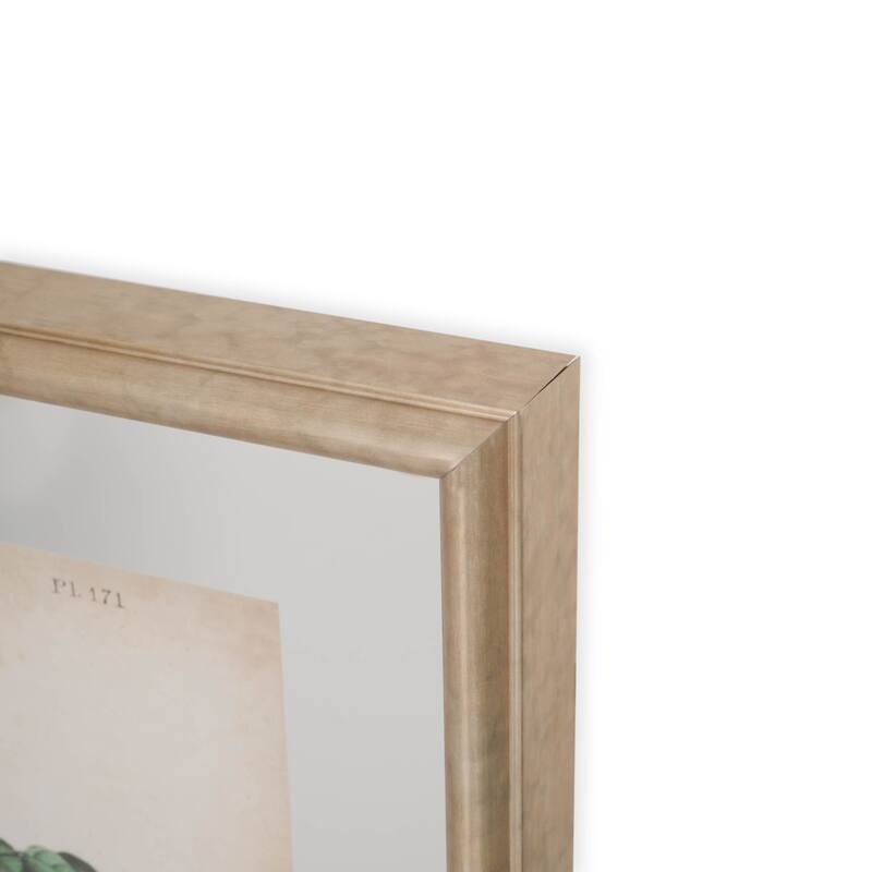Custom Blue Song Grosbeak (MC) Framed Art Print
