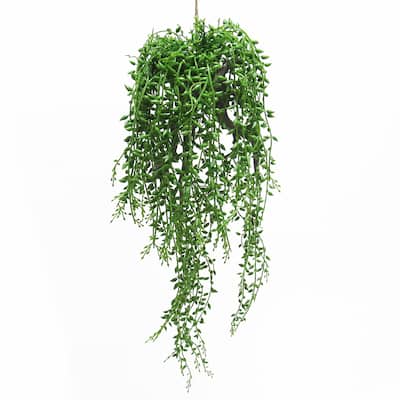 Artificial String of Pearls Tears Donkeytail Succulent Hanging Air Plant 20.5in - Green - 20.5" L x 8" W x 7" DP